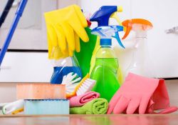 Чрезмерное использование дезинфицирующих чистящих и моющих средств может привести к отравлению